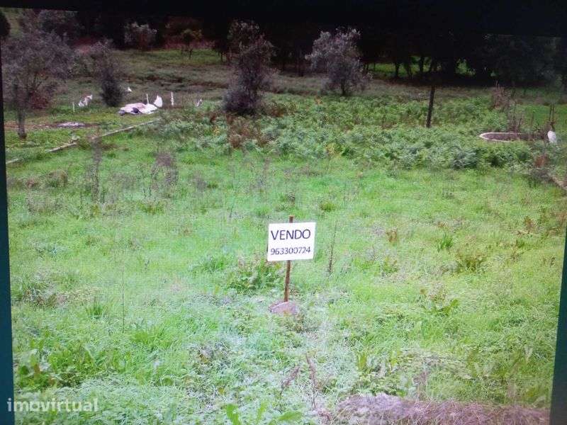 Terrenos nas aldeias do Penedo e Almofala  - Vila de Rei - Grande imagem: 3/6