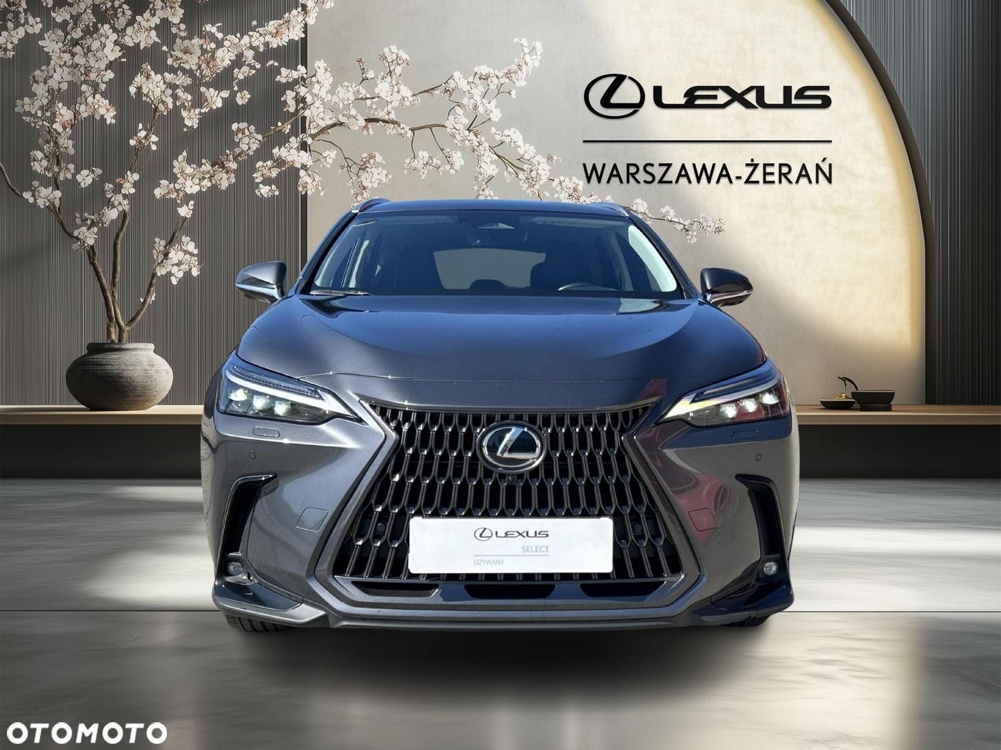 Lexus NX - 9