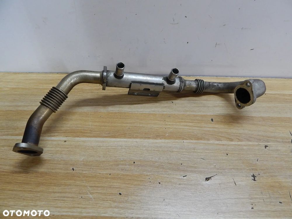 Chłodnica chłodniczka EGR 2.5 dci Nissan Navara D40 Pathfinder Cabstar Maxity 05-14 Łuków części - 2