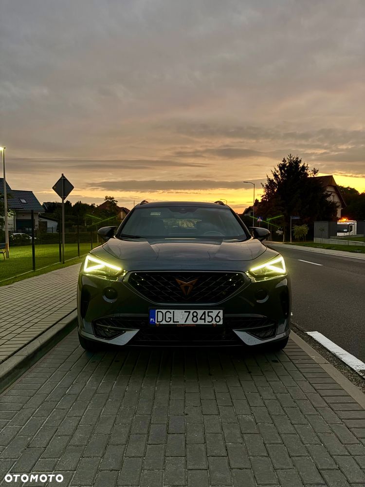 Cupra Formentor 1.4 e-Hybrid DSG Tribe Edition - 10
