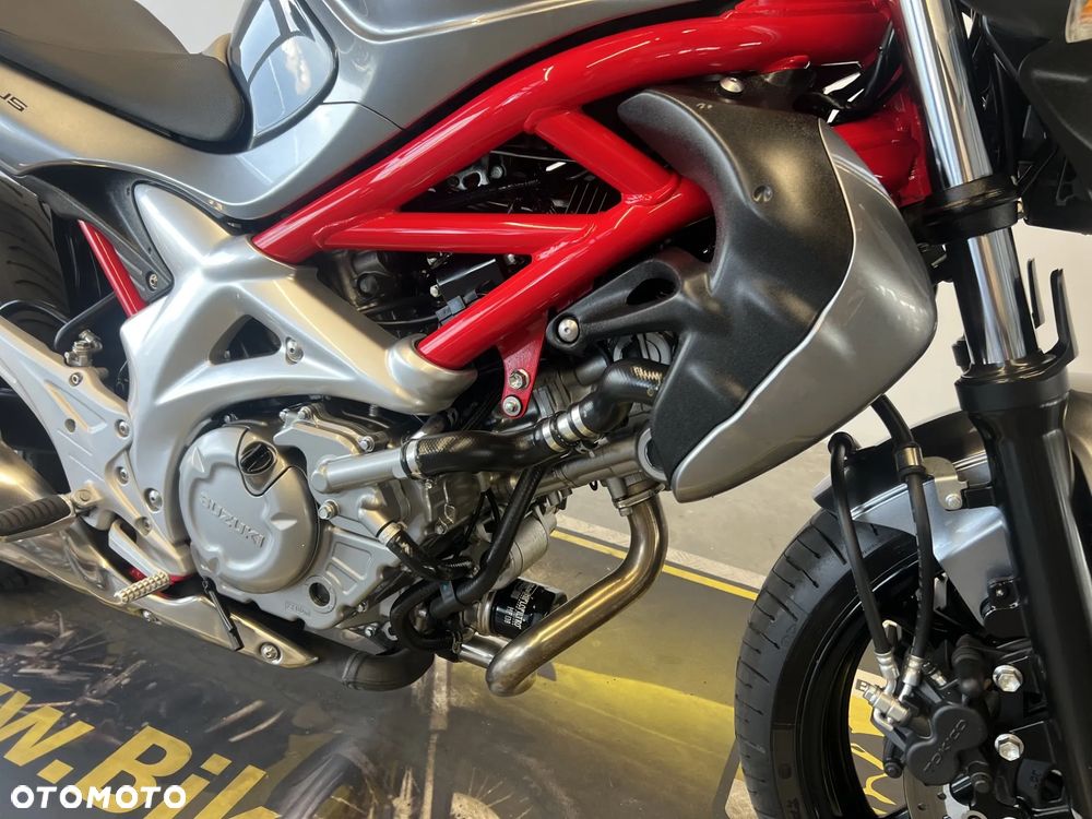 Suzuki Gladius - 23