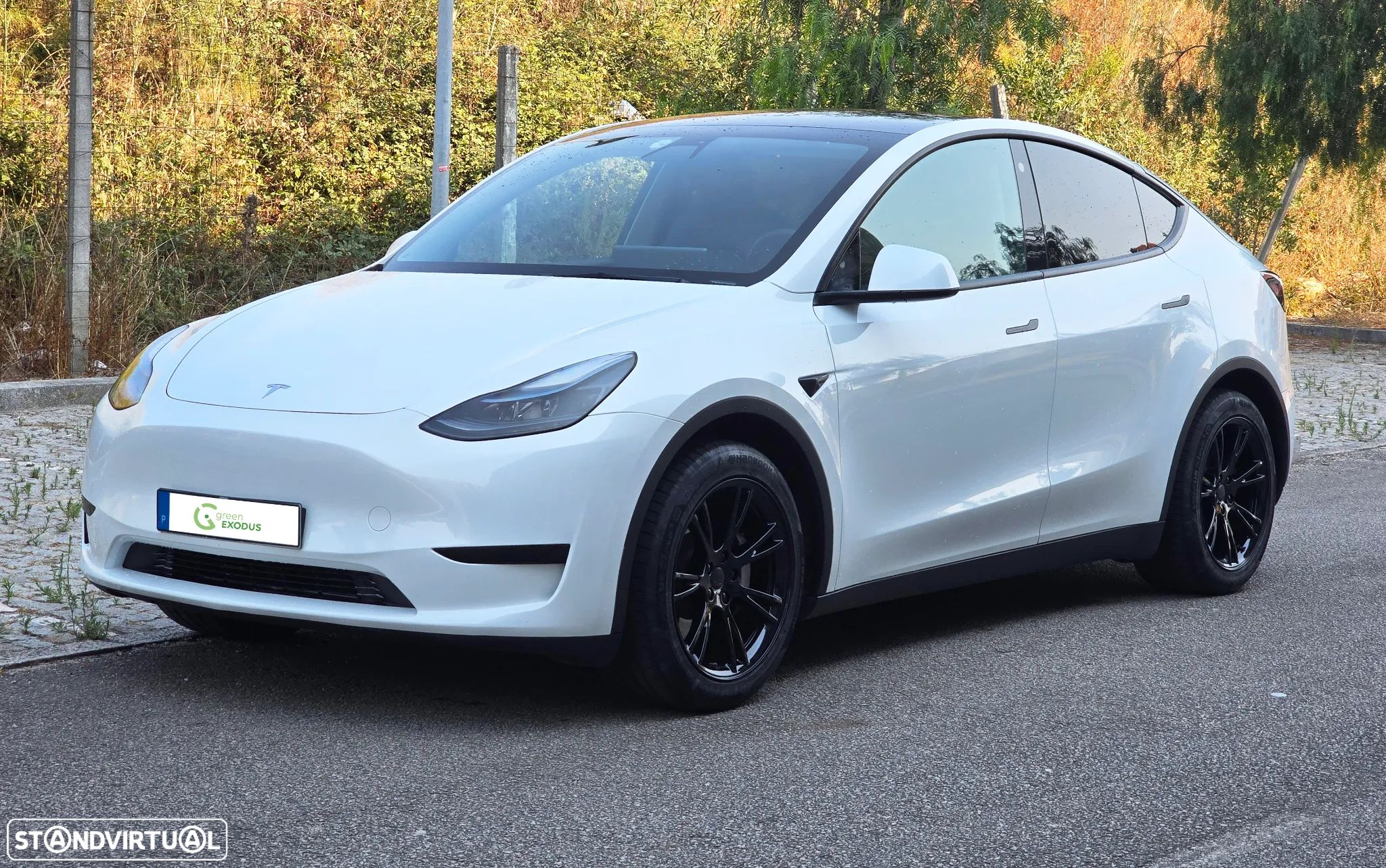Tesla Model Y RWD - 1