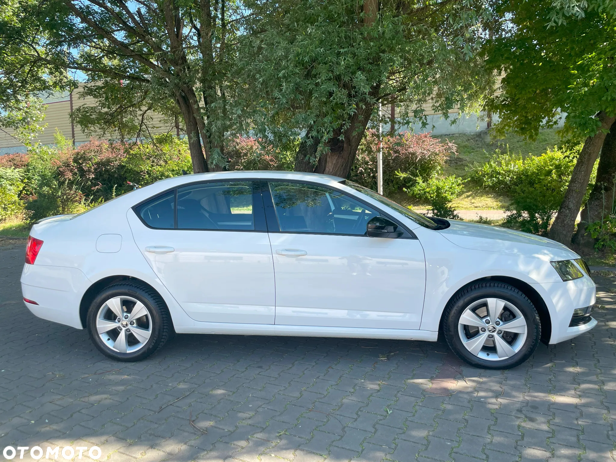 Skoda Octavia 1.5 TSI GPF ACT Ambition - 4