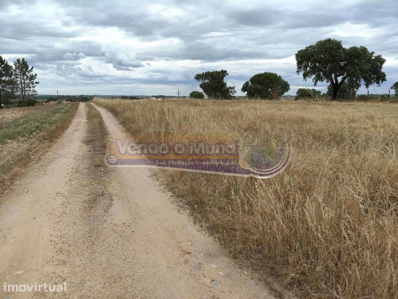 Terreno na Barrosa (BARR012) - Grande imagem: 4/9