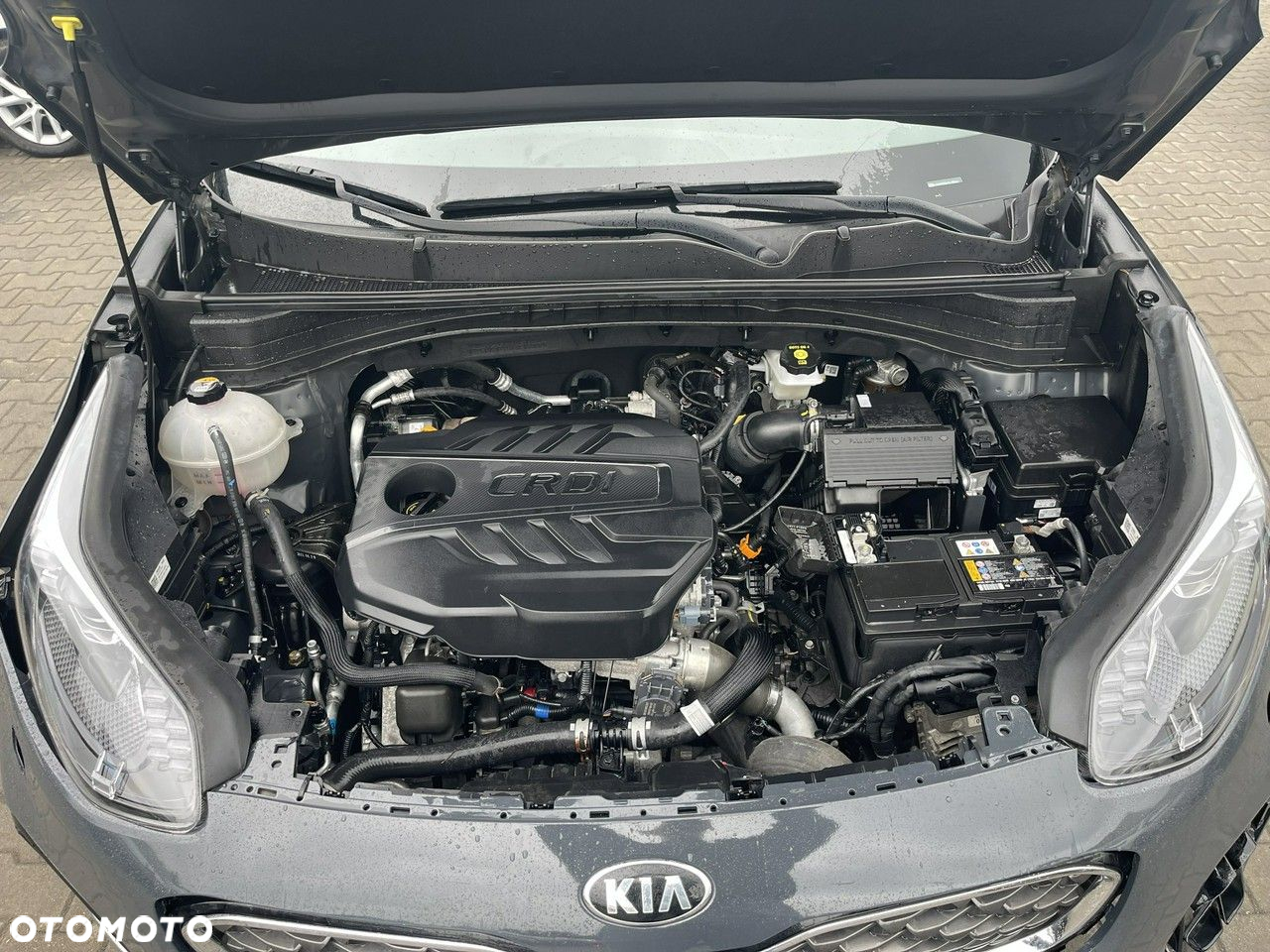 Kia Sportage 1.6 CRDI GT Line 4WD DCT - 15