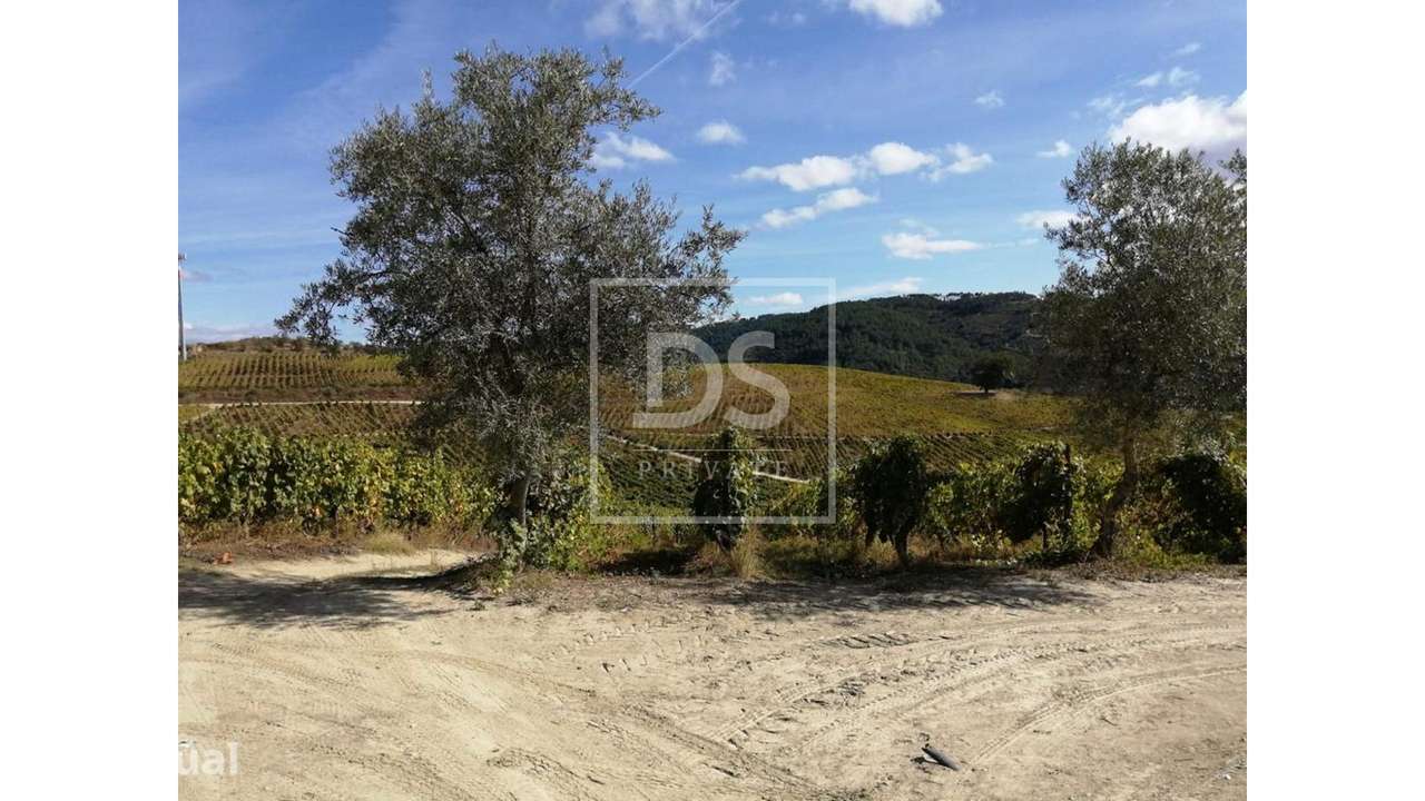 Quinta da Cumeira - Grande imagem: 4/53