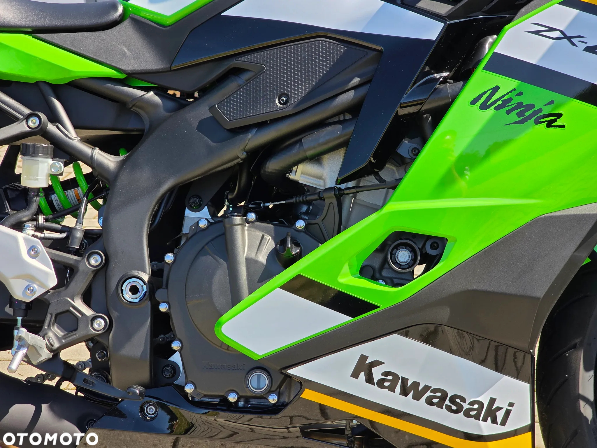 Kawasaki Ninja - 18