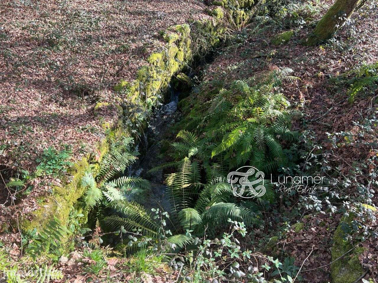 Terreno em Mosteiro, Vieira do Minho - Grande imagem: 3/7