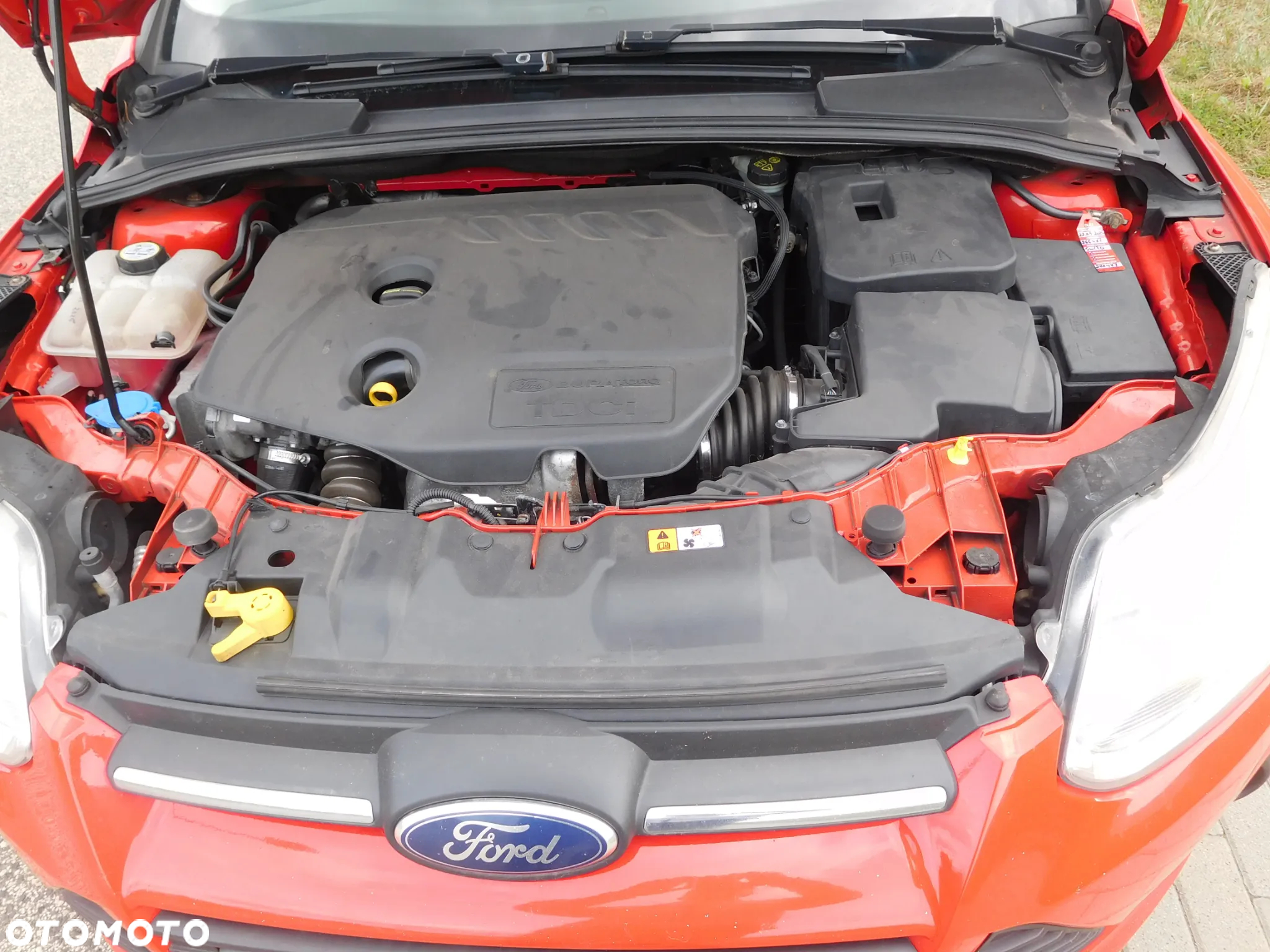 Ford Focus 1.6 TDCi Gold X - 14