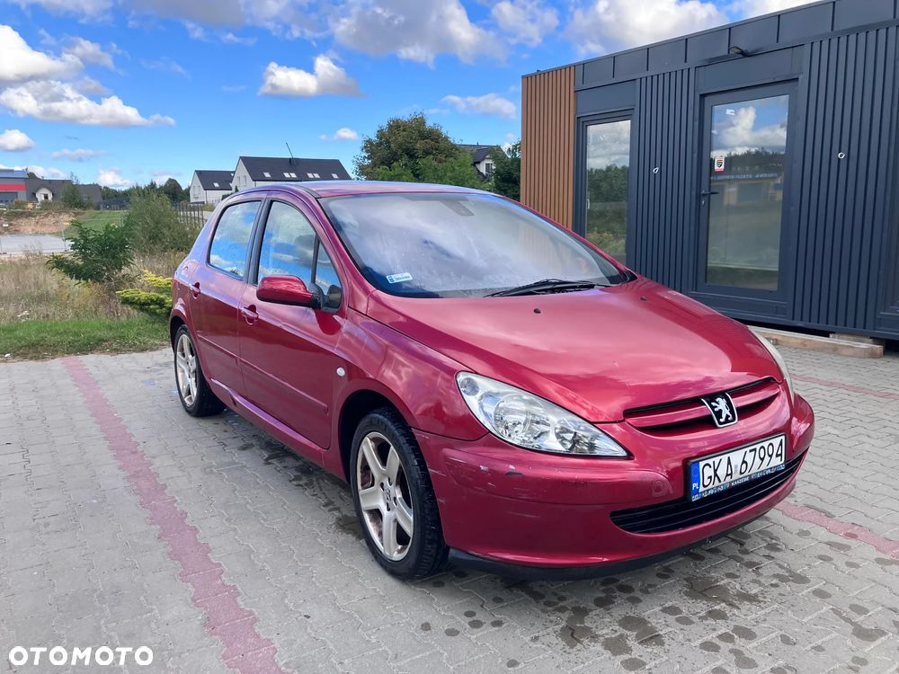 Peugeot 307 - 20