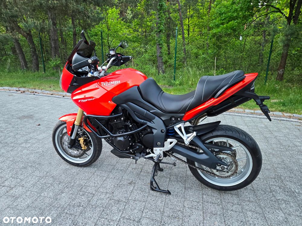 Triumph Tiger - 11
