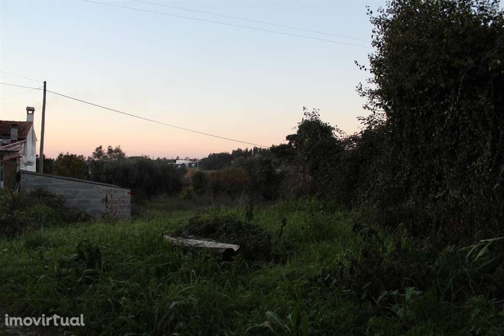 Terreno com ruina, Condeixa-a-Nova, Condeixa - Grande imagem: 3/12