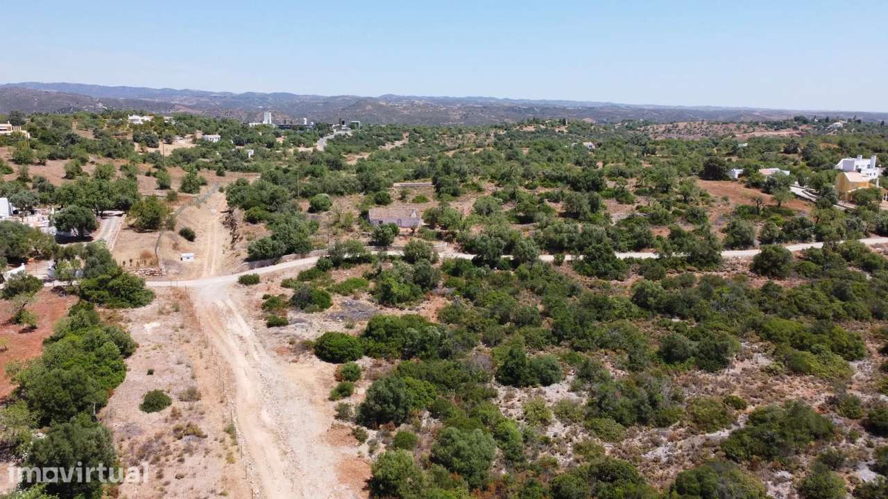 Quinta 3ha em Tavira com Casa para Recuperar | Investimento Algarve | - Grande imagem: 3/19