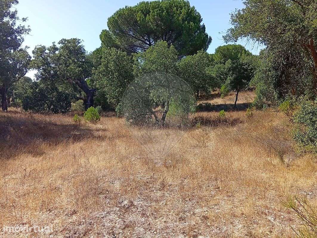 Terreno  para venda - Grande imagem: 3/6