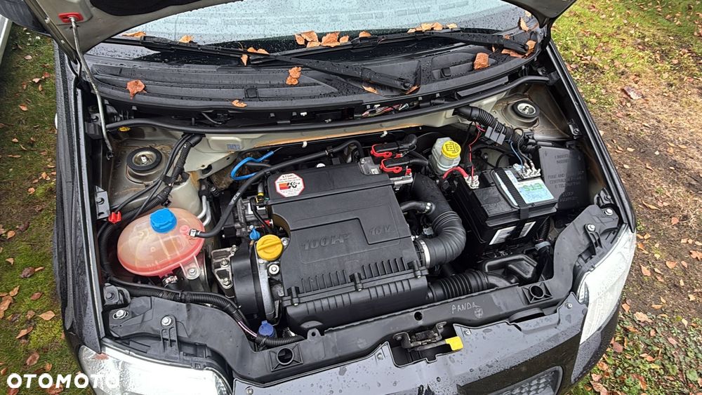Fiat Panda 1.4 100 HP - 14