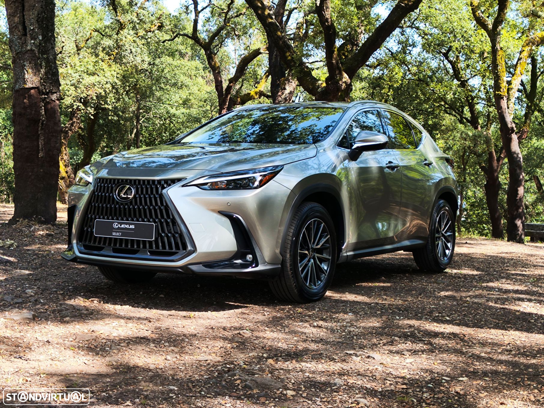 Lexus nx-450hplus - 28