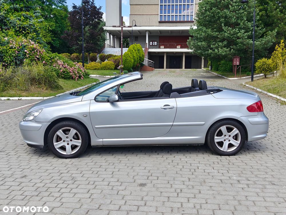 Peugeot 307 CC 110 Filou - 28