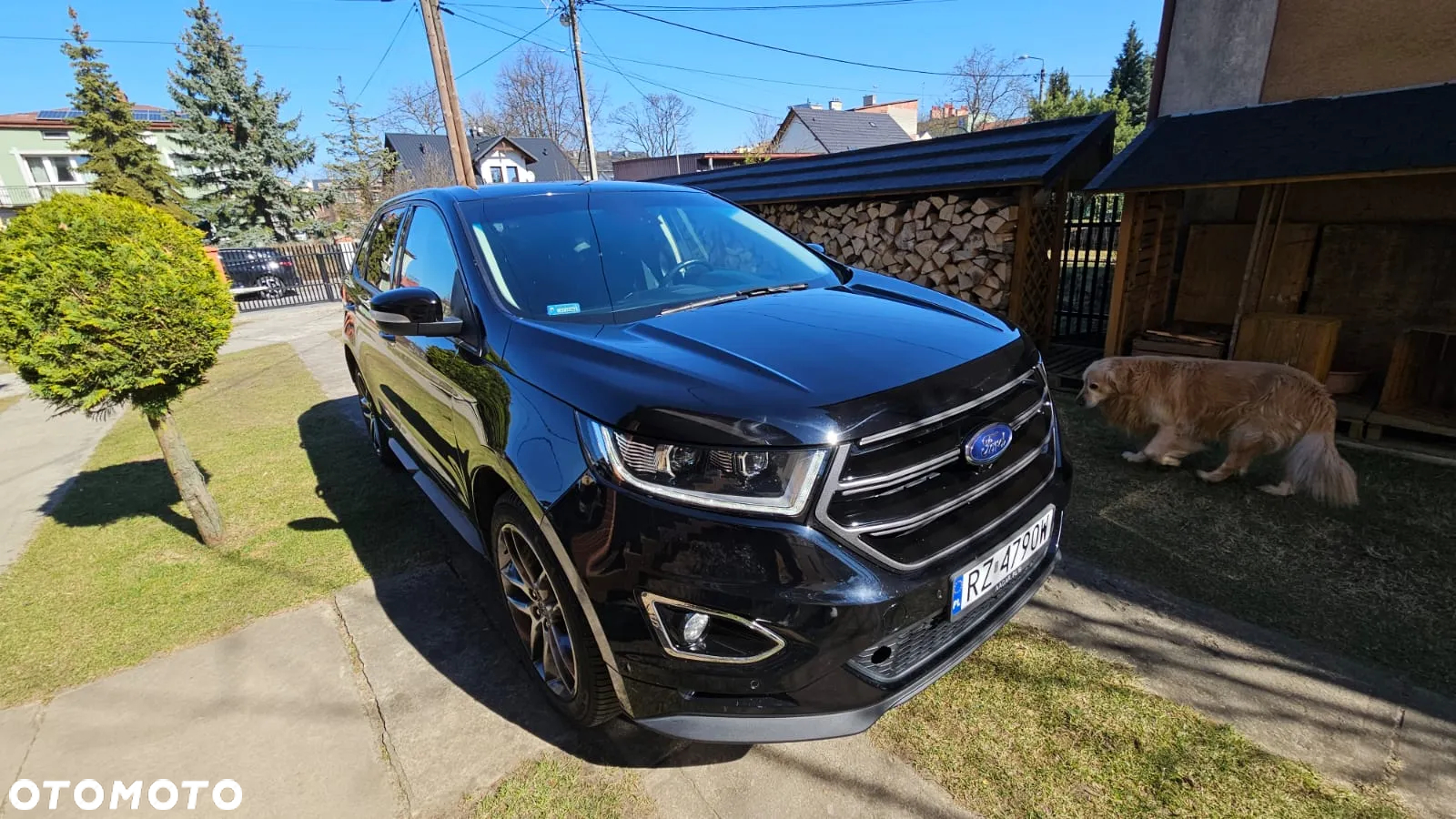 Ford Edge 2.0 TDCi Twin-Turbo 4WD Sport - 15