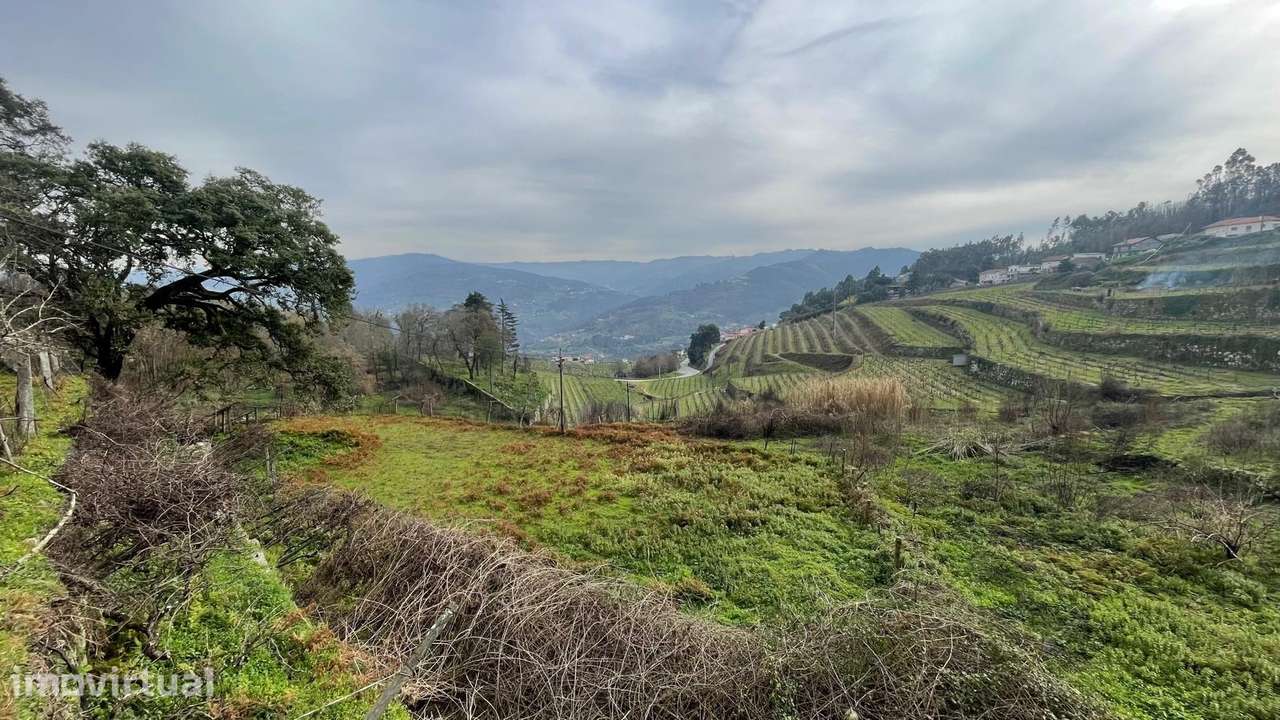 Terreno Rústico  Venda em Ancede e Ribadouro,Baião - Grande imagem: 3/9