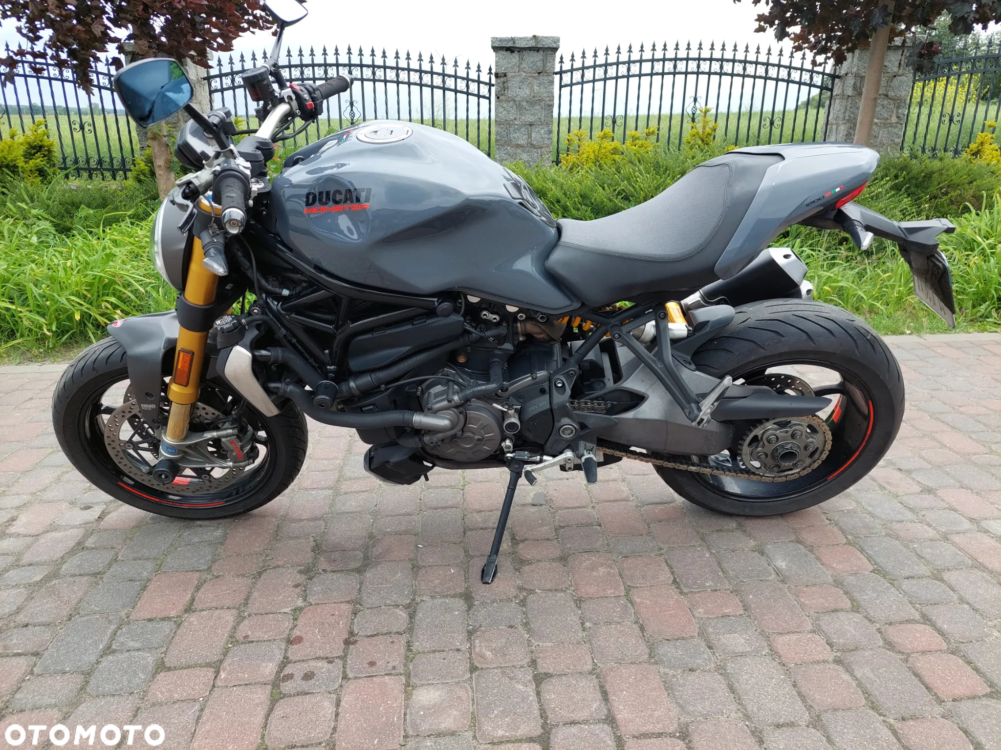 Ducati Monster - 2