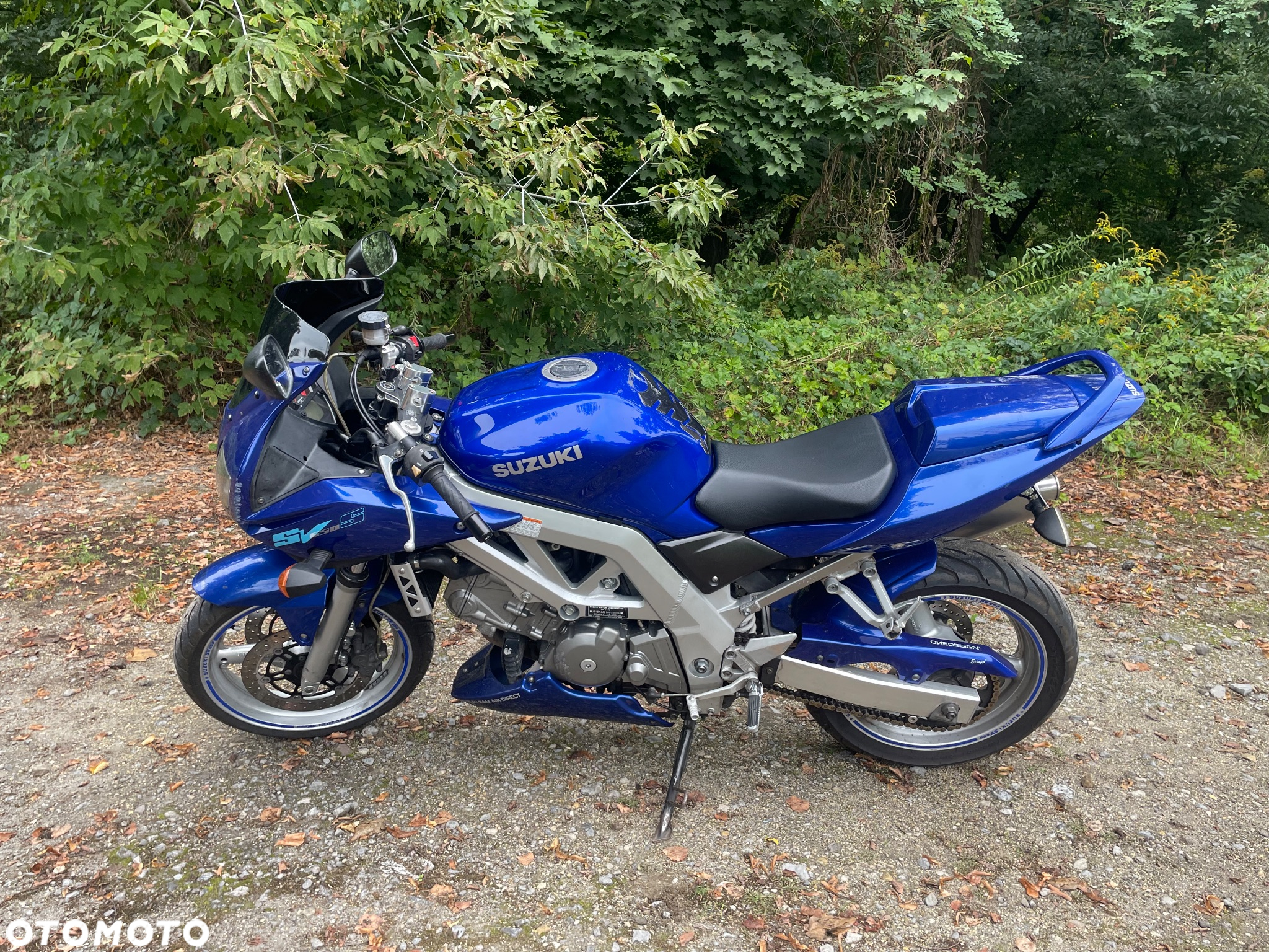 Suzuki SV - 10