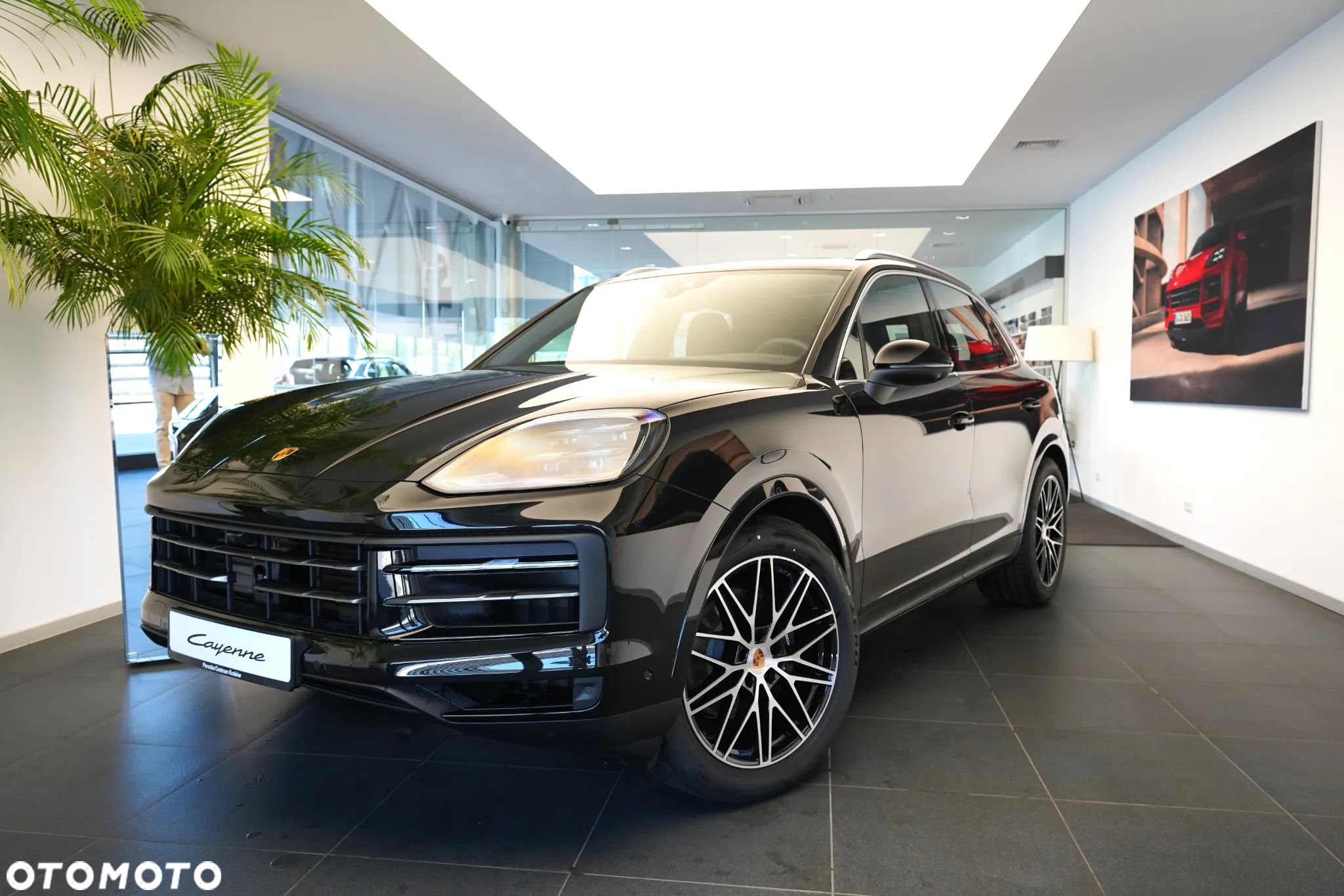 Porsche Cayenne Standard - 1