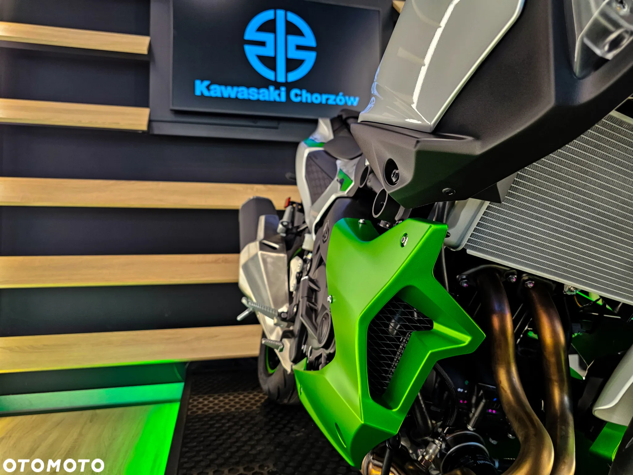 Kawasaki Ninja - 18