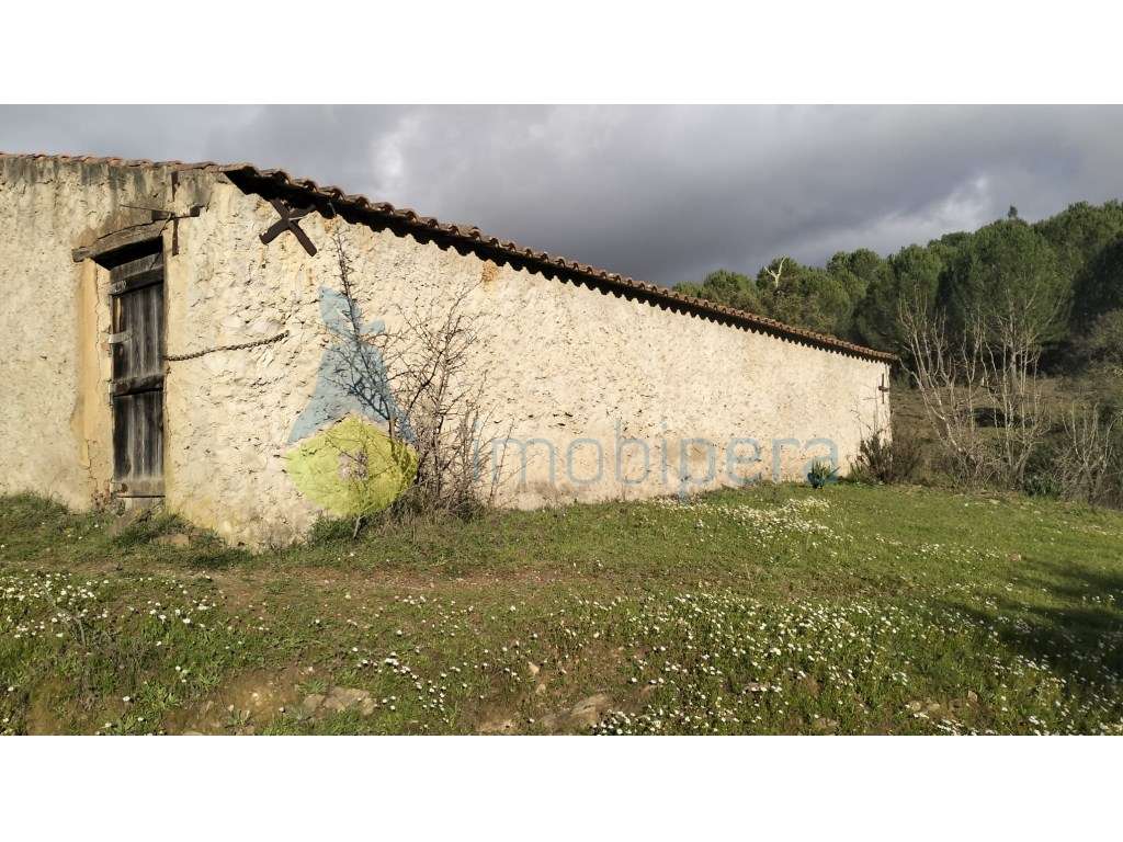 Quinta São Marcos da Serra com 20 hectares de terreno - Grande imagem: 3/18