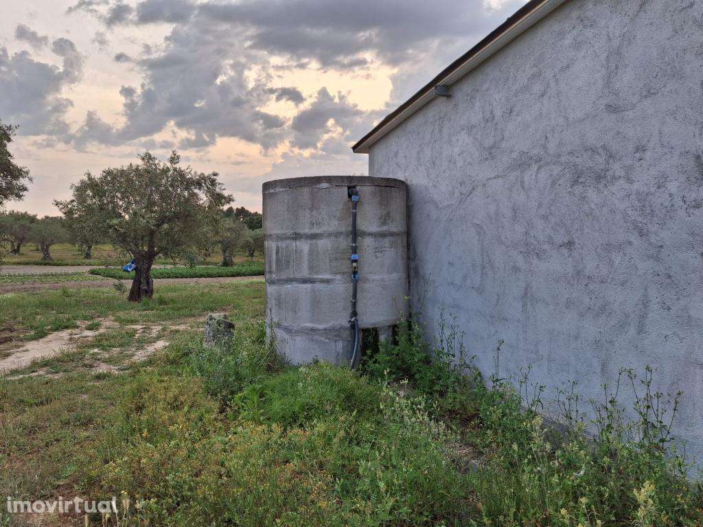 Vende-se Quinta na ratoeira - Grande imagem: 3/20