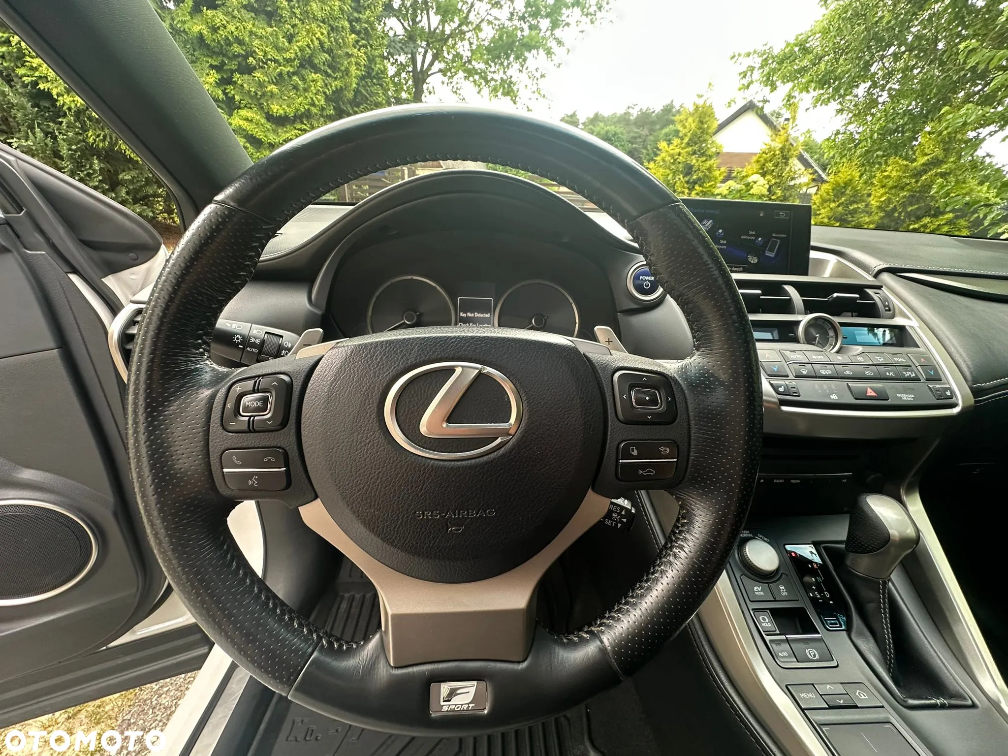 Lexus NX 300h - 20