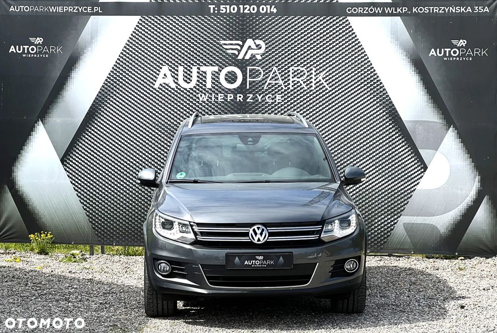 Volkswagen Tiguan - 16
