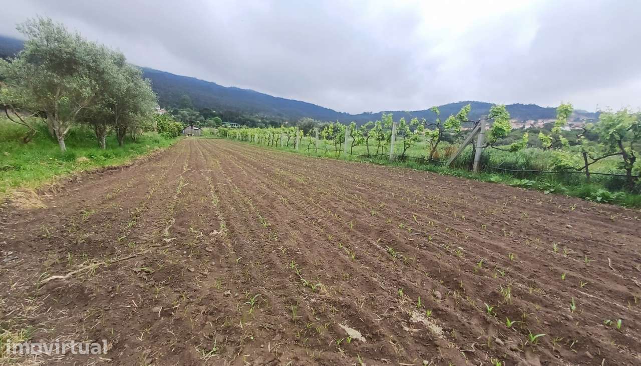 Terreno para venda, Âncora, Caminha - Grande imagem: 3/13