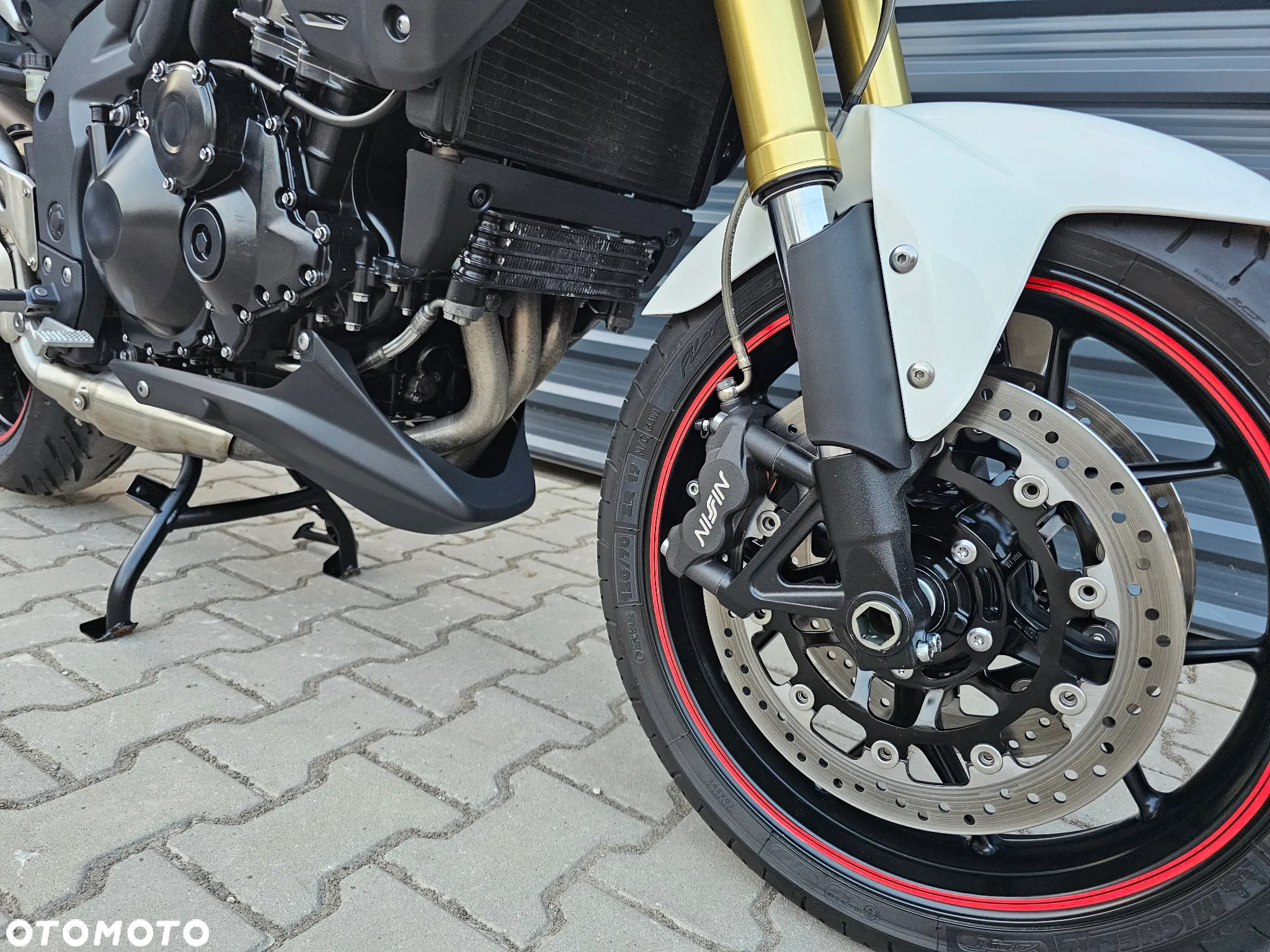 Triumph Tiger - 13