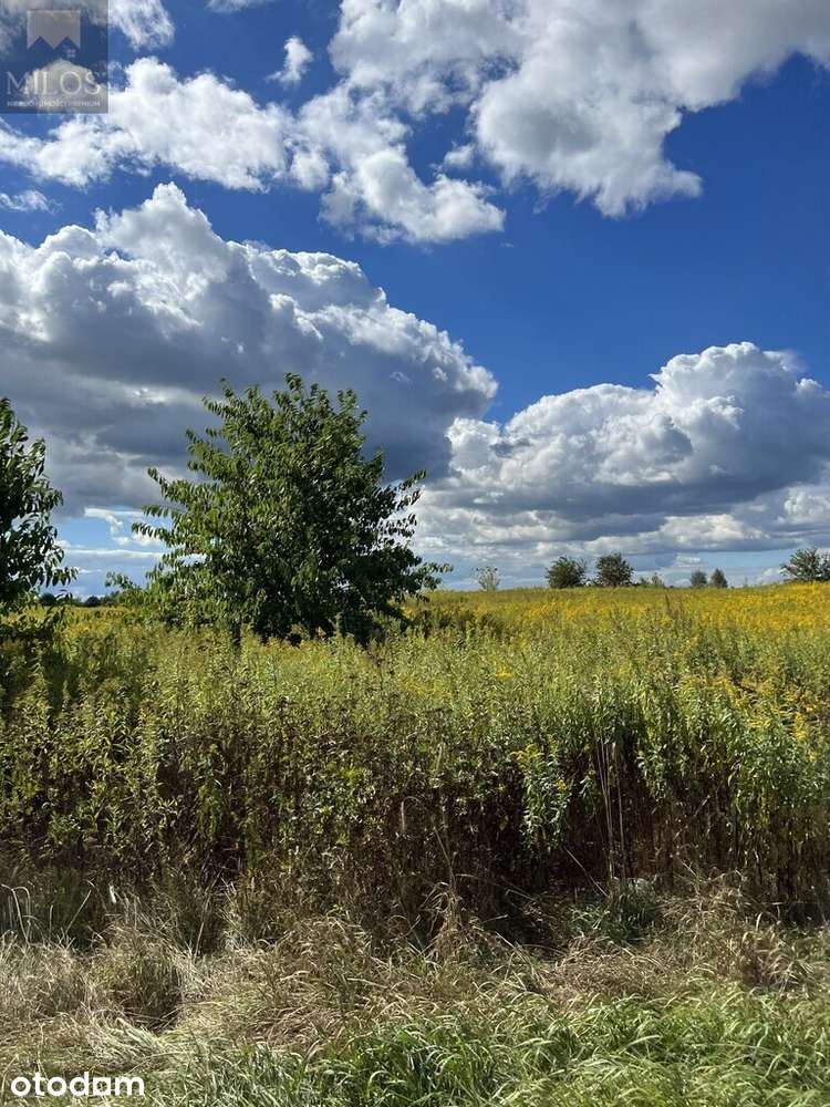 Działka inwestycyjna - Pełny obrazek: 4/5
