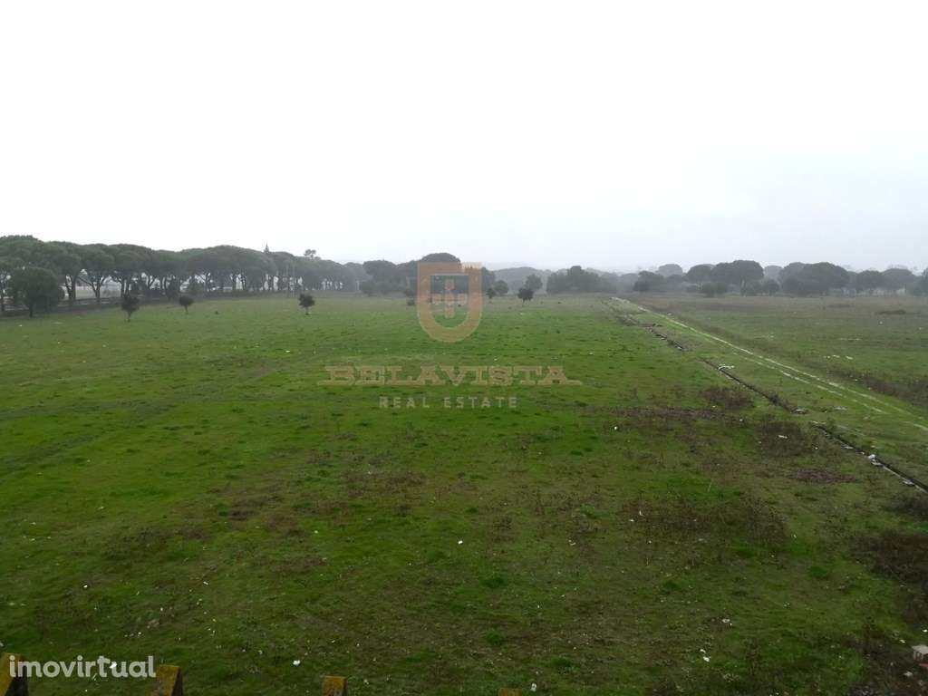 Quinta com 21Ha, a 30 min do Montijo, possibilidade de construir co... - Grande imagem: 2/4