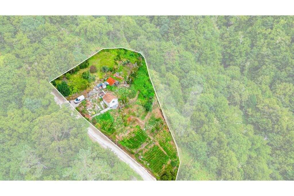 Terreno com armazém agrícola | Ponta delgada | Ilha da Madeira - Grande imagem: 4/20