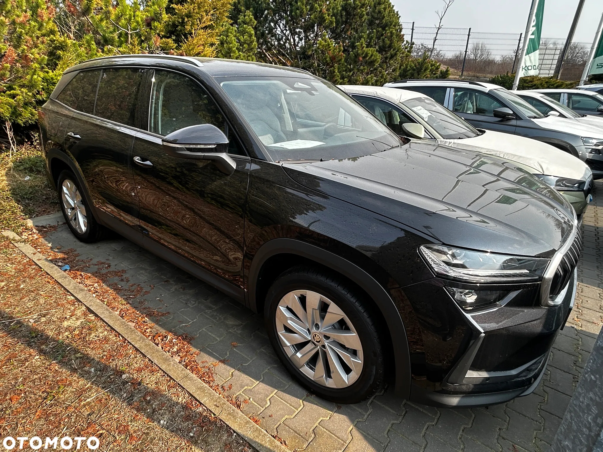 Skoda Kodiaq - 2