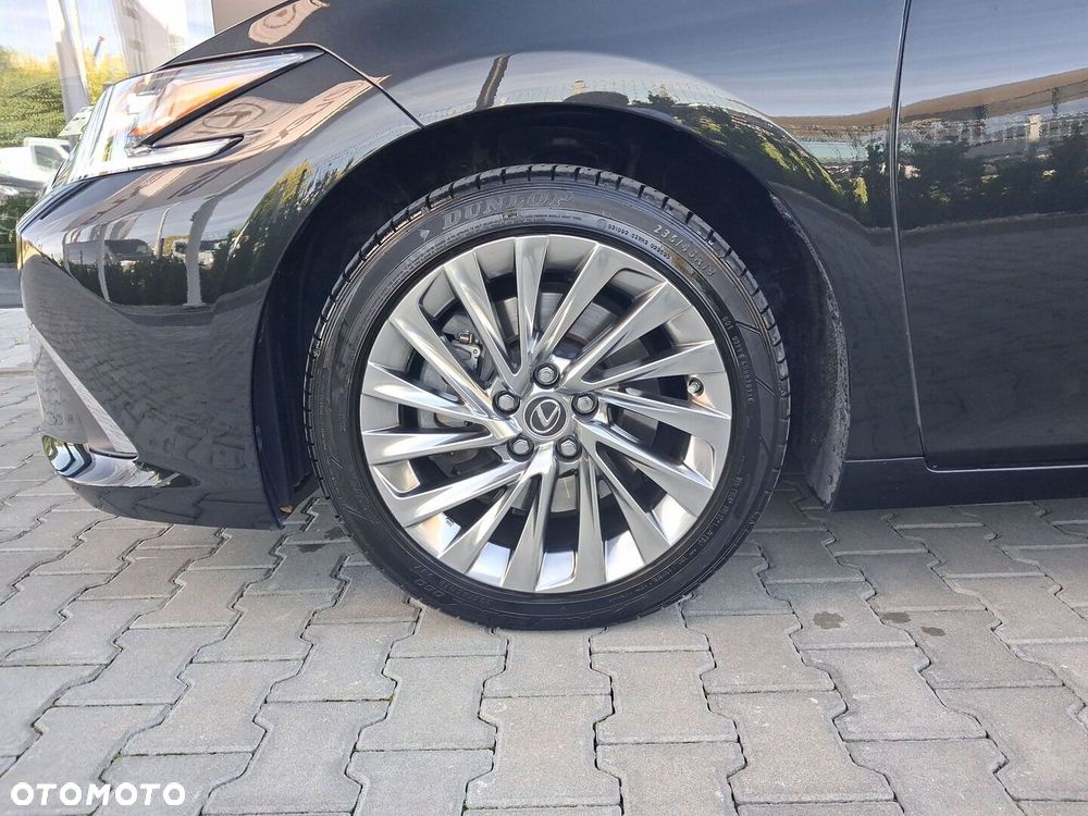 Lexus ES 300h Omotenashi - 23