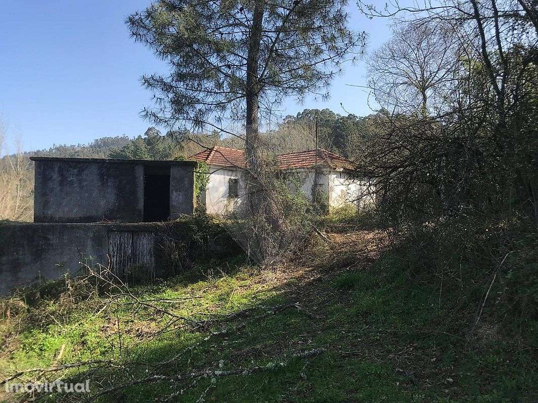 Quinta  para venda - Grande imagem: 2/19