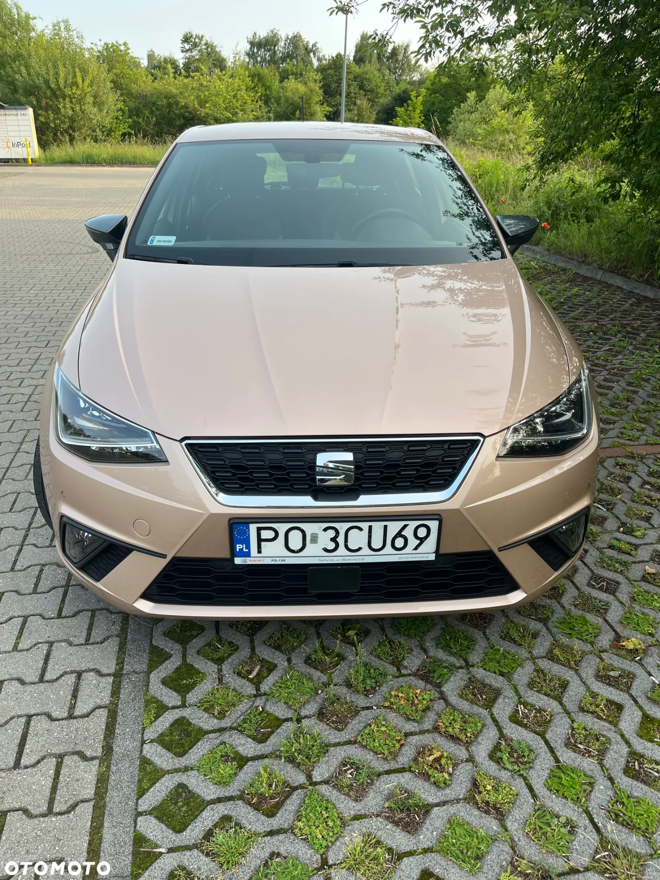 Seat Ibiza 1.0 TSI Xcellence S&S - 10