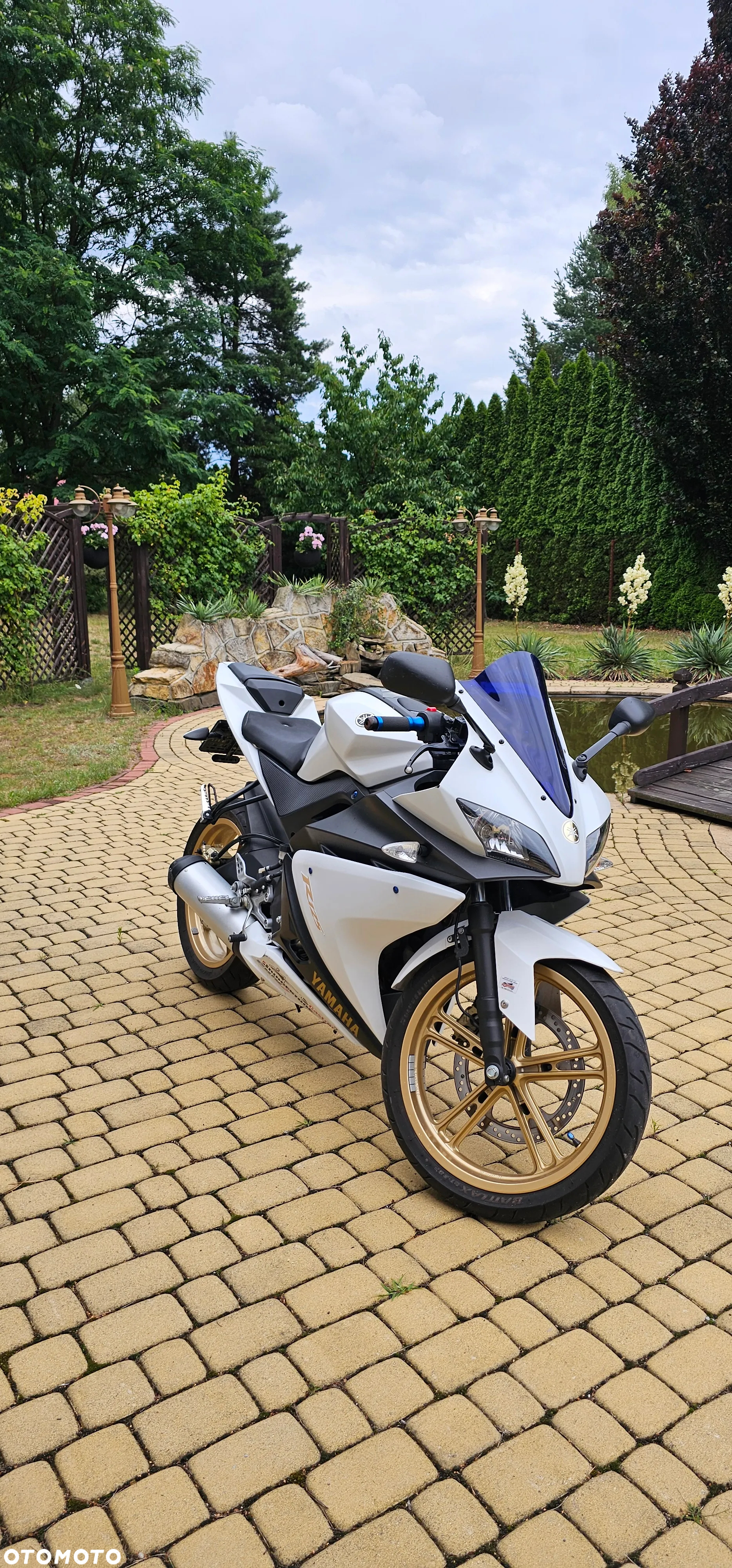 Yamaha YZF - 2