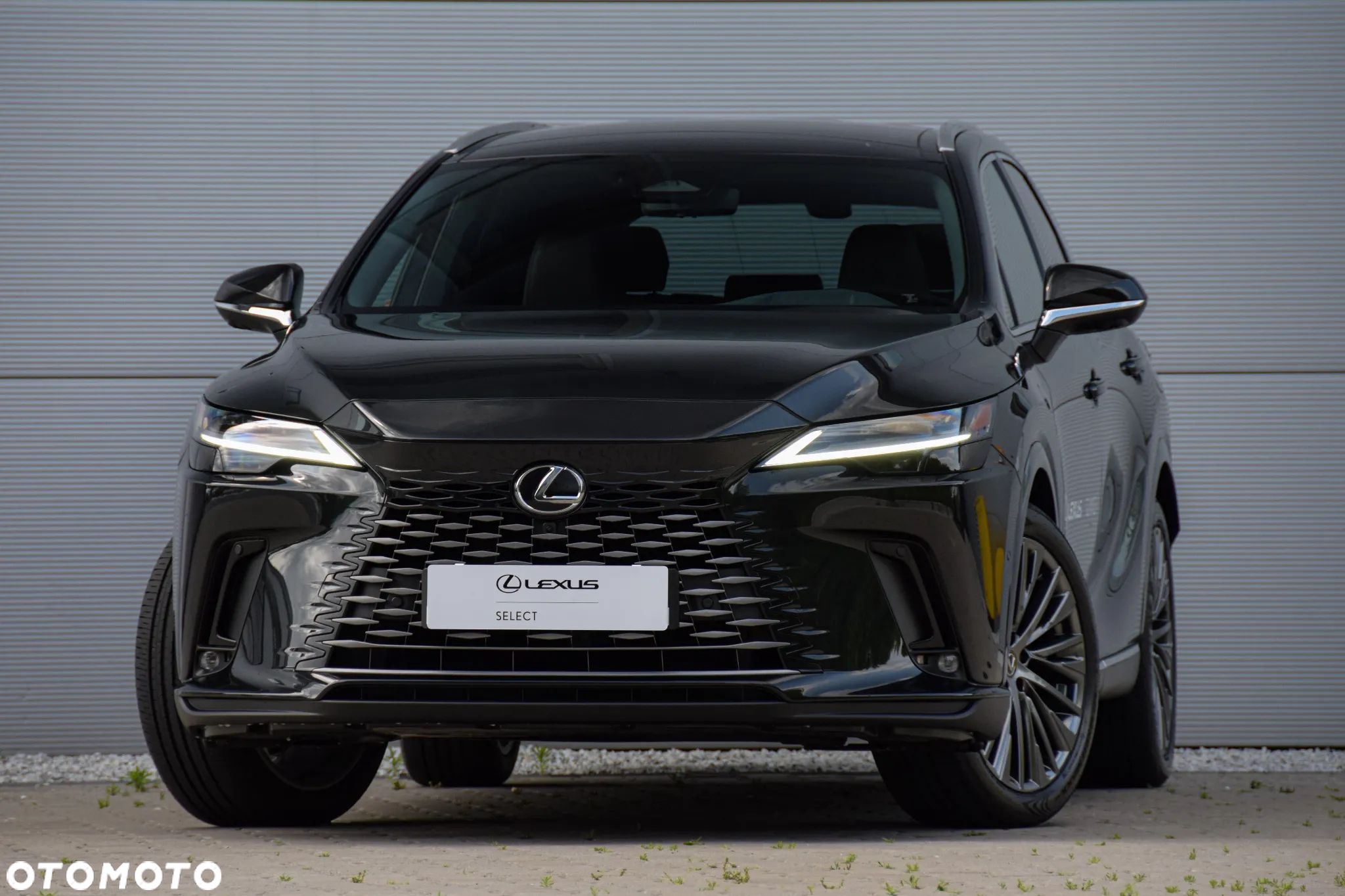 Lexus RX 450h+ Omotenashi - 1
