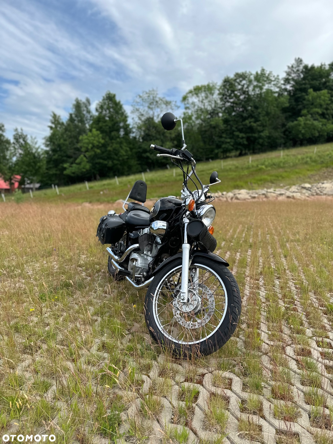 Yamaha Virago - 3