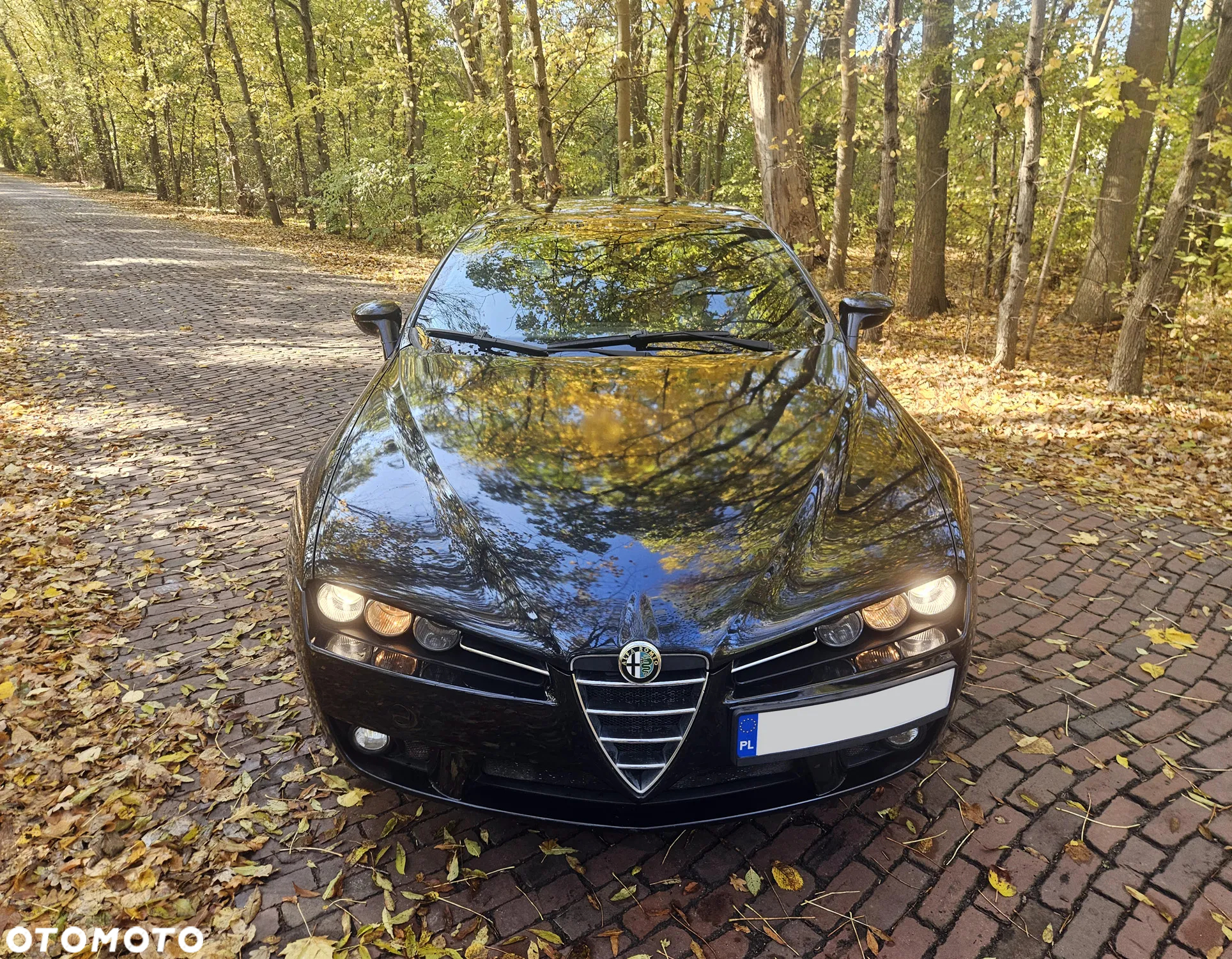 Alfa Romeo Brera 2.0JTDM - 14