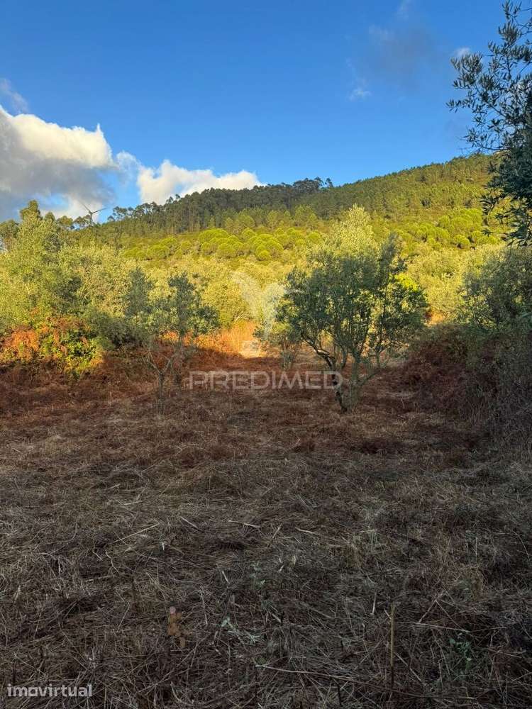Terreno Urbanizável com 600 m² – Alqueidão da Serra | 10 minutos de... - Grande imagem: 5/25