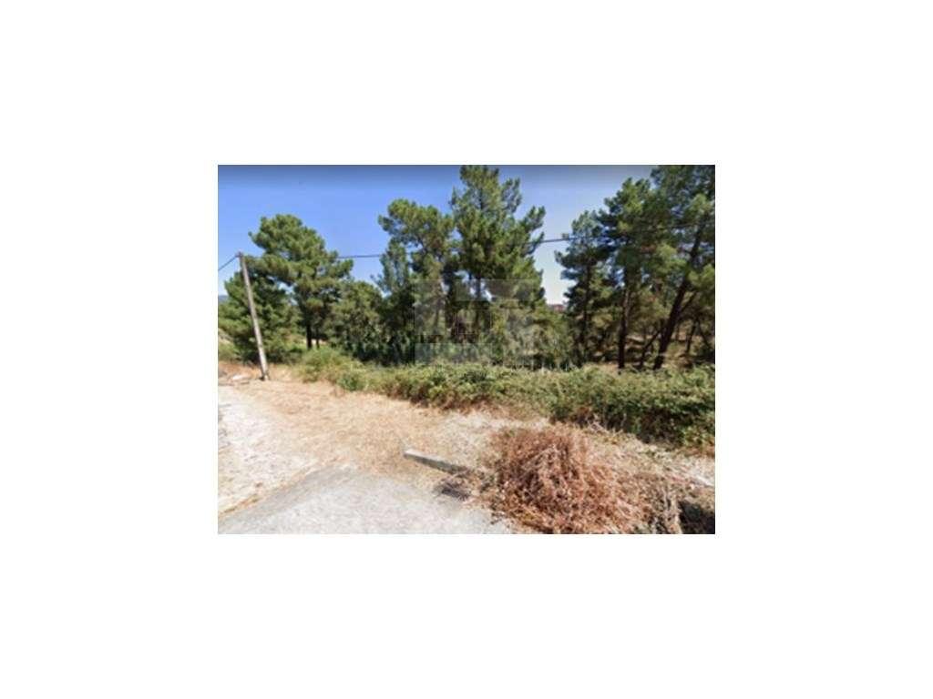 TERRENO RUSTICO, EM CARVALHAL - CHAVES - Grande imagem: 4/6