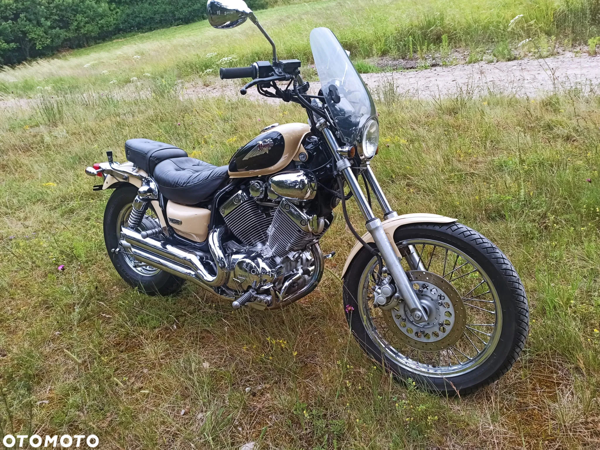 Yamaha Virago - 5