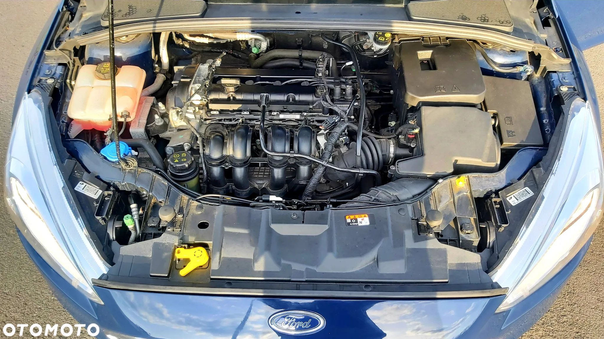 Ford Focus 1.6 Trend - 10
