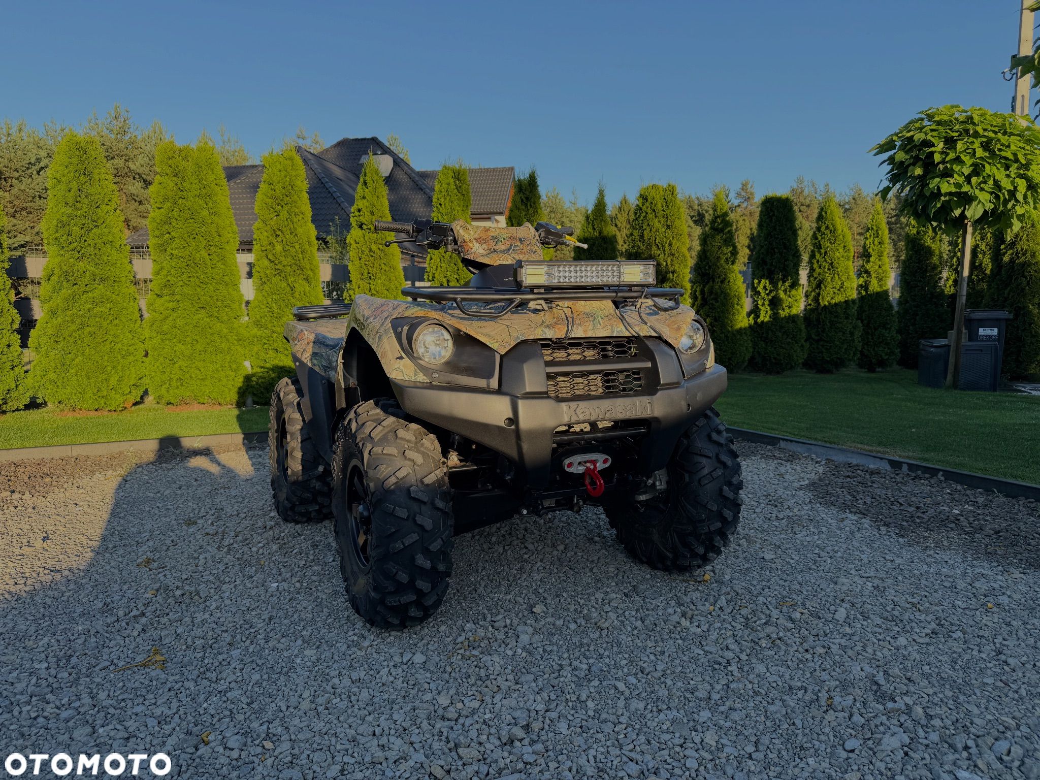 Kawasaki Brute Force
