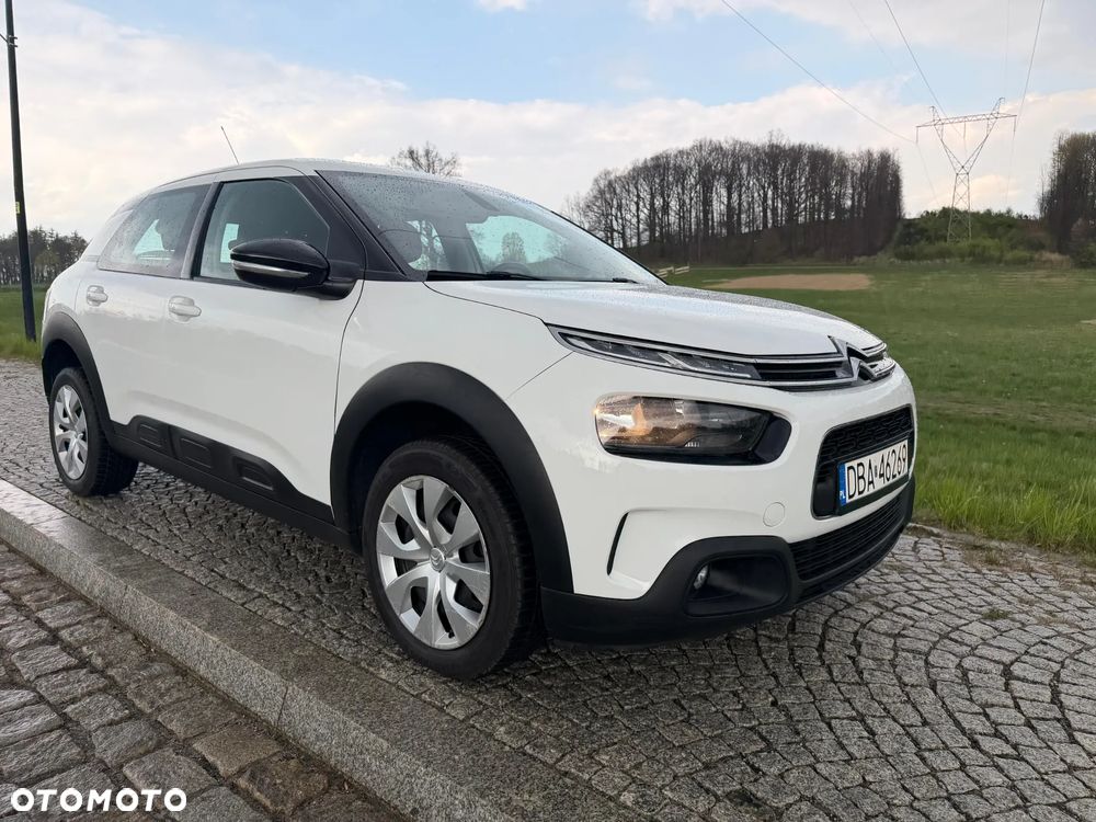 Citroën C4 Cactus 1.2 PureTech GPF Shine S&S EAT6 - 19